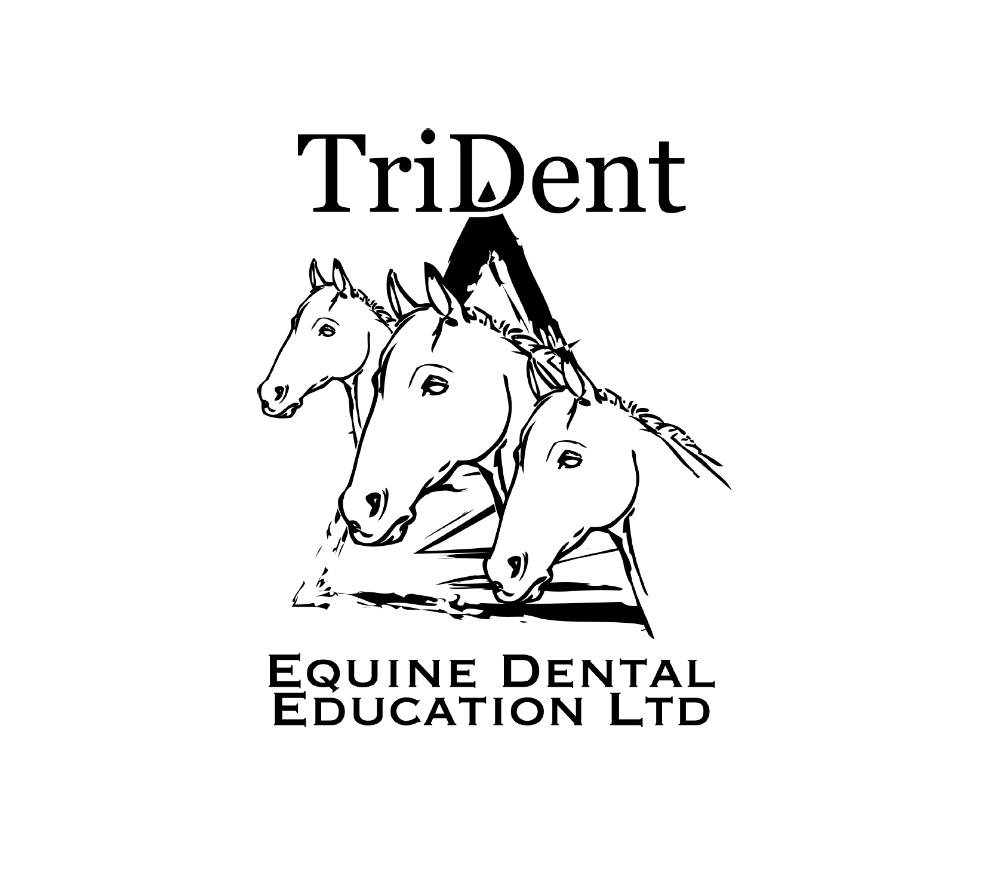 Congrès Trident Equus Dental Harmony